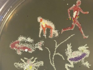 bacteria art